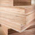 Flerskikts solid plywoodbräda